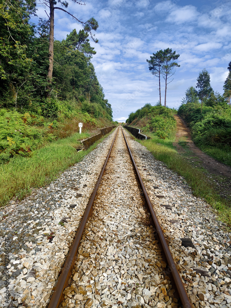 Fototapeta premium A railway track stretches forward, surrounded by greenery and trees under a partly cloudy sky