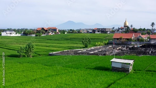 Aerial landscape of the rice plantation of Seseh village located near Canggu in Bali Indonesia. photo