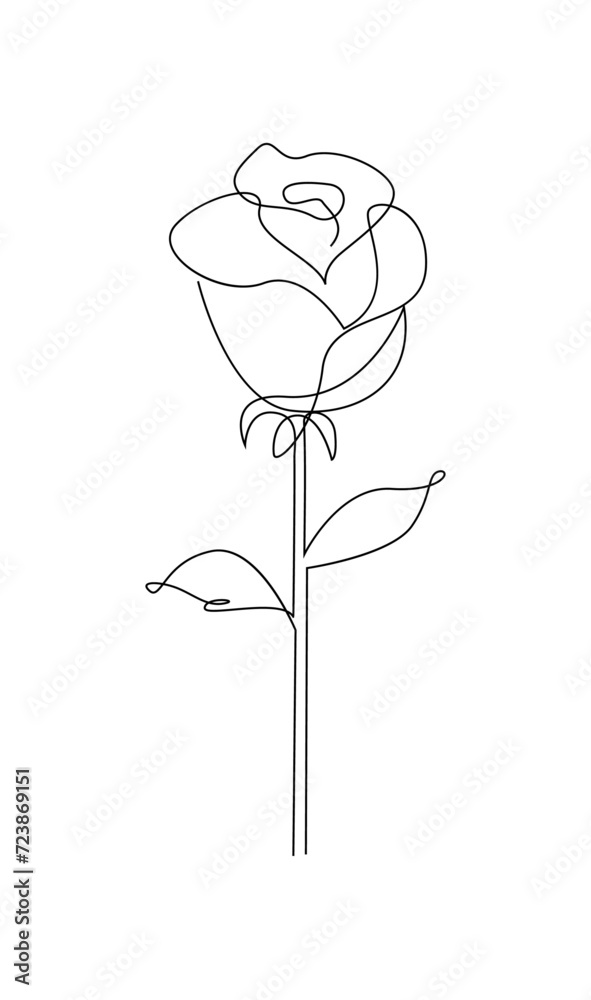 One line drawing. Garden rose with leaves. Hand drawn sketch. template One line drawing. Garden rose with leaves. Hand drawn sketch. template
