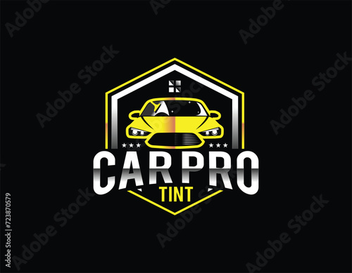Automotive Car Tinting Business Logo Design Template