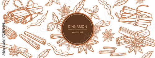 Isolated hand drawn vector set of cinnamon in engraving style. Braun and chocolate colors. Cinnamon sticks and star anise. Style spice and flavor object. Cooking and aromaterapy ingredient.
