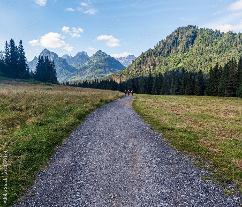 Obraz premium Bielovodska polana in Bielovodska dolina valley in High Tatras mountains in Slovakia