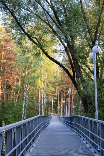 Pedestrian bridge over the river in the forest in autumn