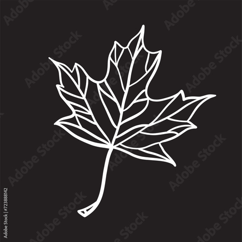 Hand drawing art of leaf. Vector illustration.