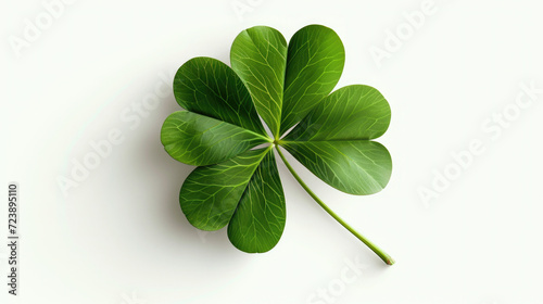 Picture of four leaf clover on white surface. Suitable for St. Patrick's Day designs and good luck concepts