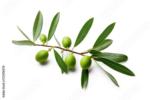 Wallpaper Mural olives with leaves and stems from olive trees on a white background Torontodigital.ca