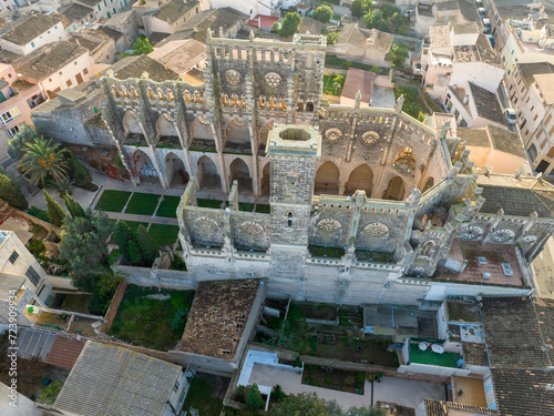 Aerial view, Spain, Balearic Islands, Mallortca, Arta, Son Servera,  Ruin of Church Iglesia Nova photo