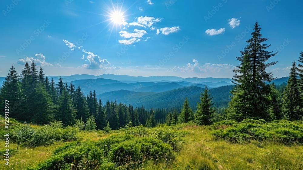 Magnificent panoramic view the coniferous forest on the mighty Carpathians Mountains and beautiful blue sky background. Beauty of wild virgin Ukrainian nature.  