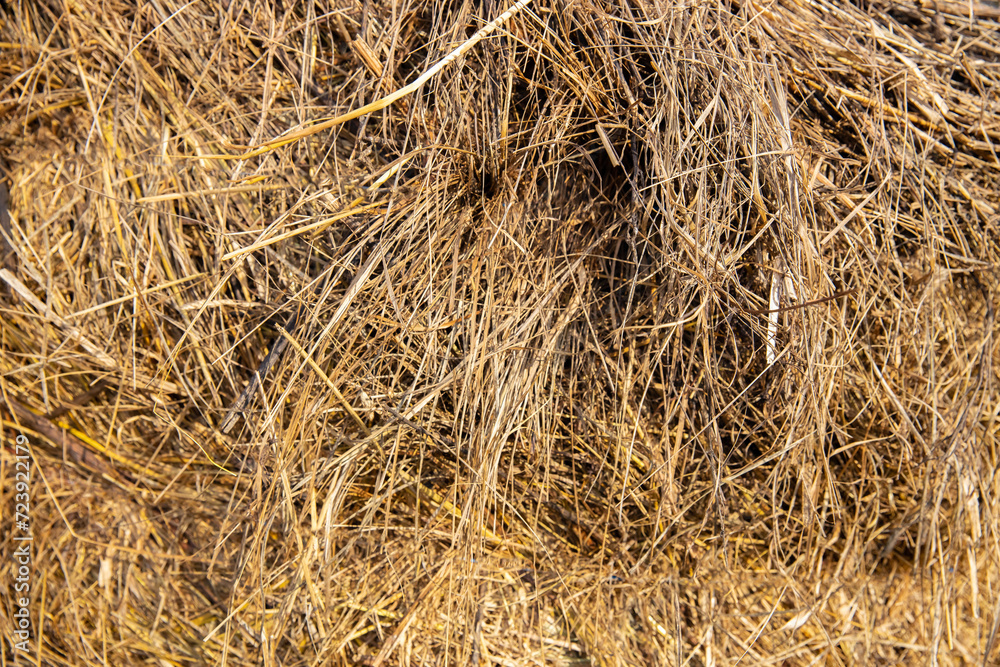 Straw texture. Close-up of dry hay bales. Summer season and straw texture. Close-up of golden dry straw. Straw texture. Close-up of dry hay bales. Summer season and straw texture. Close-up of golden dry straw.