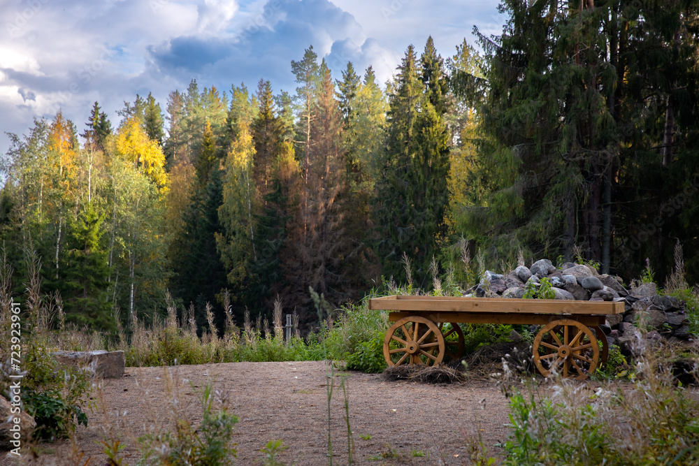 Wooden  wheel in the middle of a green forest, Wooden cart in the autumn forest against the background of the sky