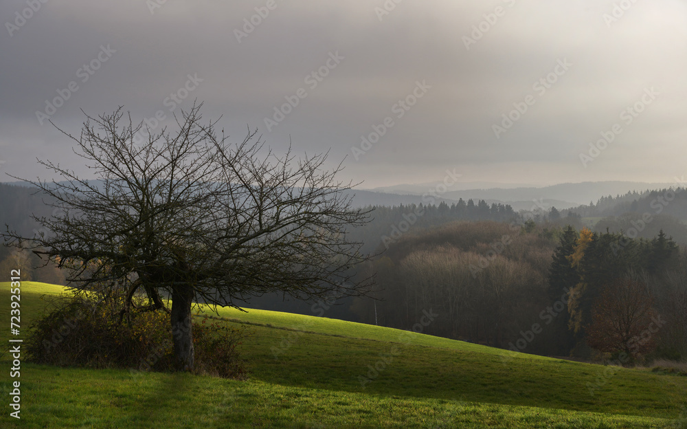 Fototapeta premium die Eifel