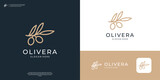 Abstract olive branch logo design inspiration