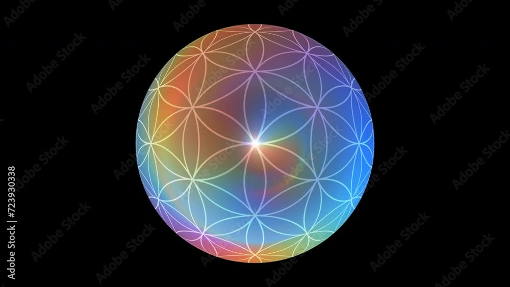 Flower Of Life Sphere On Alpha Loop