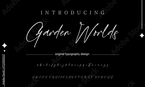 signature Font Calligraphy Logotype Script Brush Font Type Font lettering handwritten