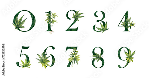 A set of green natural numbers with a cannabis leaf texture. The numbers are suitable for invitations, posters, covers, and cards. Illustrations with marijuana on a transparent background. photo