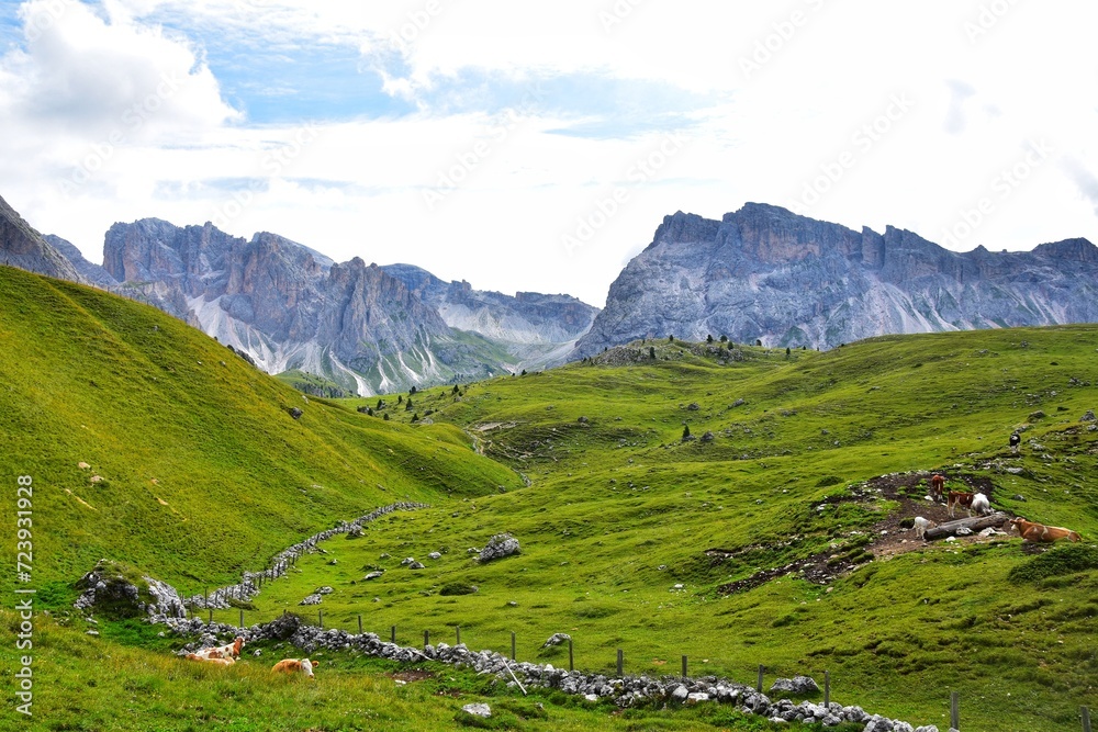 Alpine meadows in the Dolomites, Italy