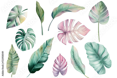 Tropical leaves collection  in watercolor style isolated on  white background