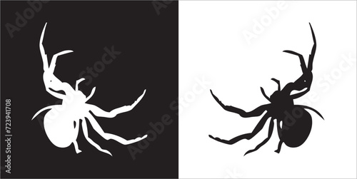 Illustration vector graphics of spider icon