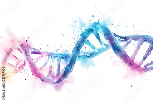 A watercolor drawing of the DNA