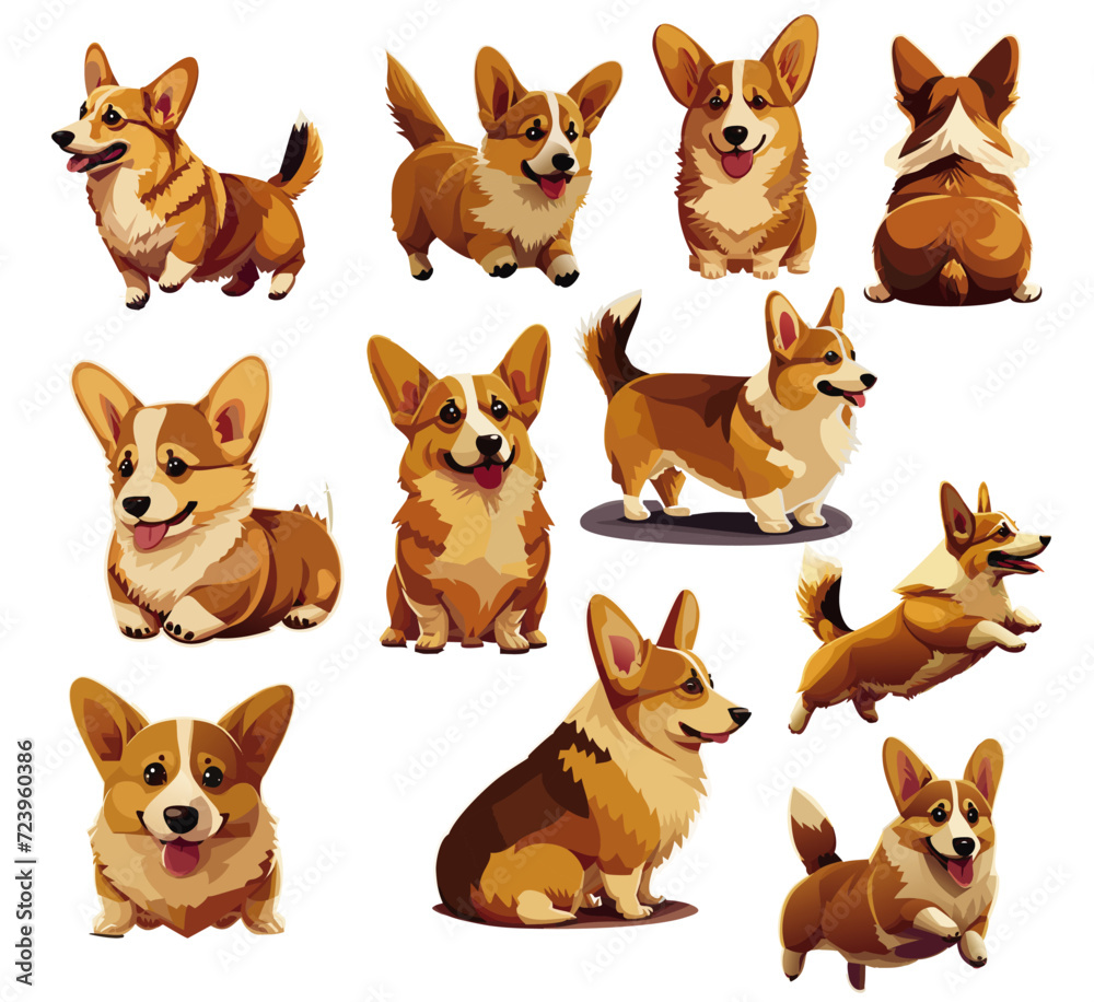 Welsh Corgi dogs Welsh Corgi dogs