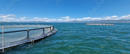 lake sevan trout hatchery cages, armenia