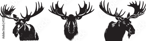 Moose head, black and white vector graphics photo