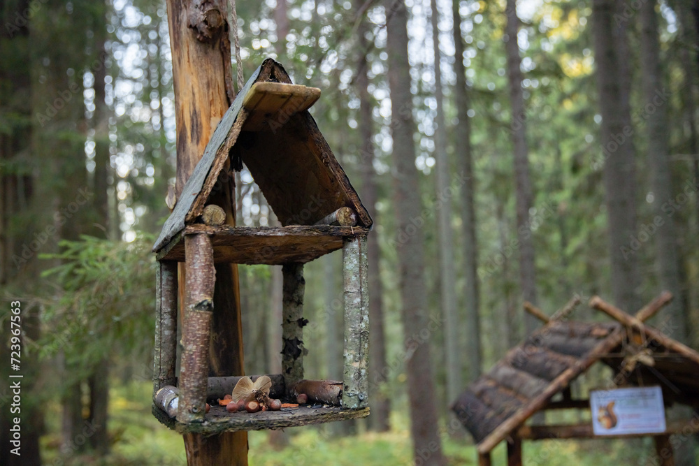 Wooden bird feeder in the forest. Selective focus. Wooden bird feeder in the forest. Selective focus.