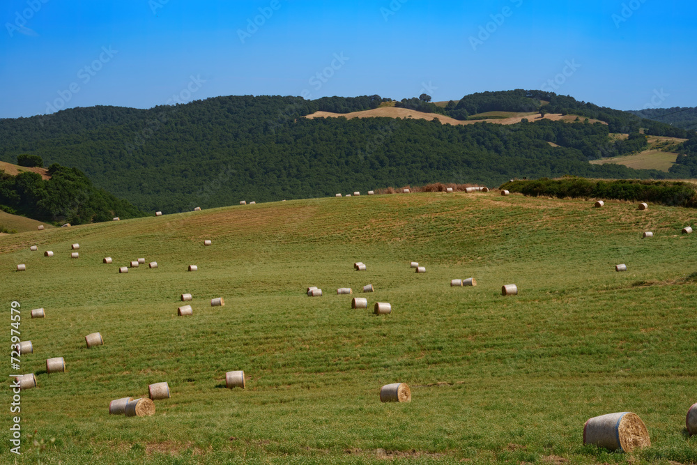 Country landscape near Tricarico and San Chirico, Basilicata, Italy