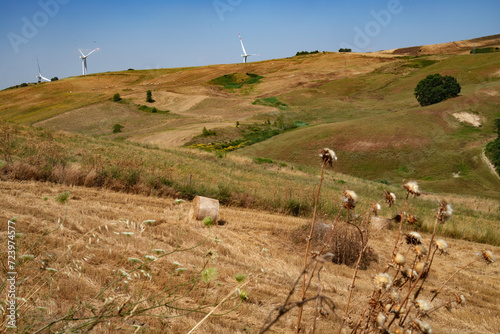 Country landscape near Tricarico and San Chirico  Basilicata  Italy