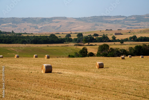 Country landscape near Oppido Lucano and San Chirico, Basilicata, Italy