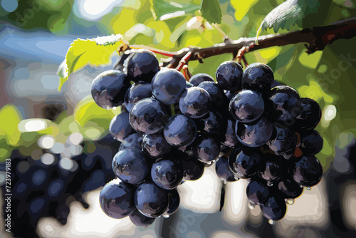 closed up of a red grapevine in Franche photo