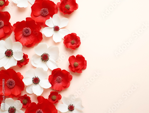 background of white and red anemone flowers on a pure white canvas, Valentine's Day, Flat painting, top view, aesthetic background, with space to copy