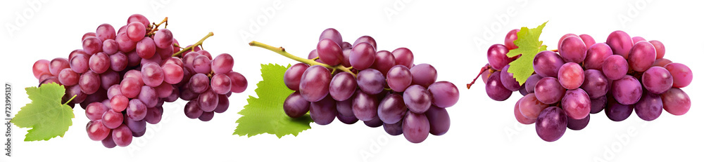 Fototapeta premium Three bunches of red grapes on a transparent background illustration, Generative AI