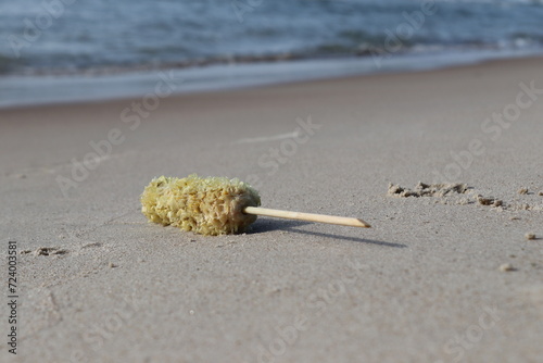 Fototapeta Naklejka Na Ścianę i Meble -  Corndog on the shore of Baltic Sea