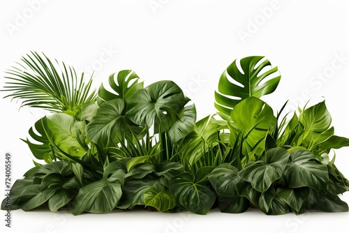 Immerse yourself in the allure of lush tropical foliage with this captivating PNG graphic. 