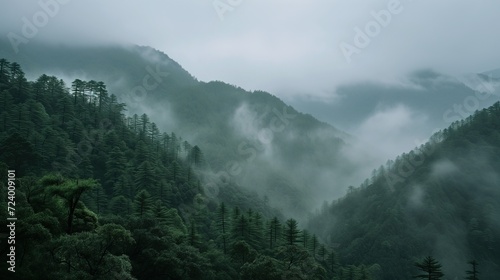 Misty morning in the mountains with green asian trees, wallpaper background 