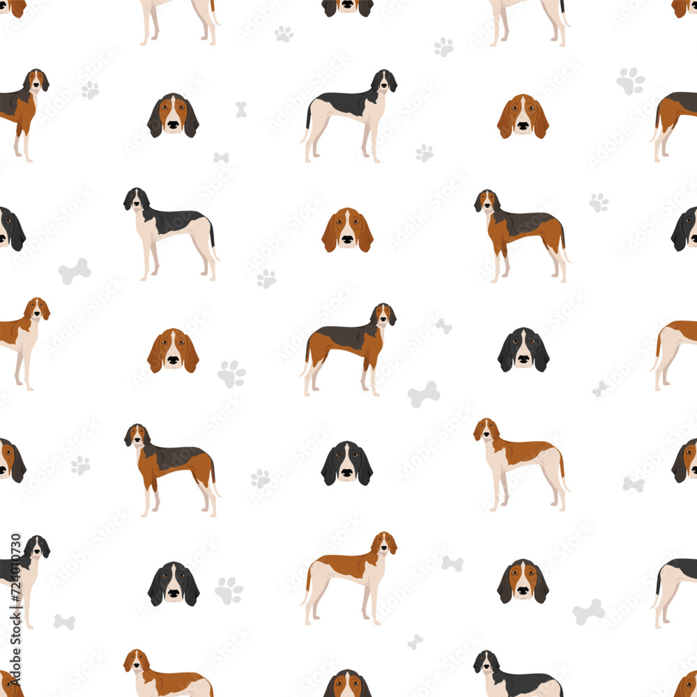 Obraz premium Poitevin Hound seamless pattern. All coat colors set. All dog breeds characteristics infographic