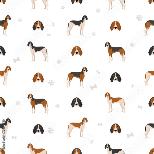 Poitevin Hound seamless pattern. All coat colors set. All dog breeds characteristics infographic
