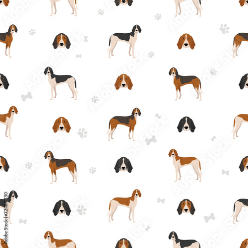 Poitevin Hound seamless pattern. All coat colors set.  All dog breeds characteristics infographic