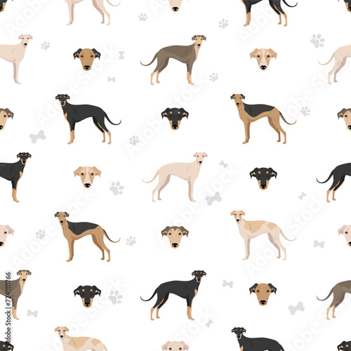 Polish Greyhound seamless pattern. All coat colors set