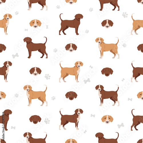 Posavac Hound seamless pattern. All coat colors set.  All dog breeds characteristics infographic