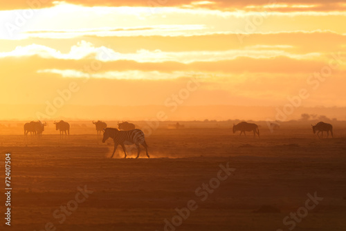 silhouette of a herd of wildebeests at dusty dawn in Amboseli NP