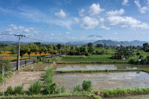 Aerial drone landscape of rice paddy fields located in the province of Karangasem in Eastern Bali Indonesia.