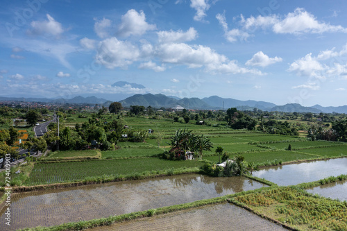 Aerial drone landscape of rice paddy fields located in the province of Karangasem in Eastern Bali Indonesia.