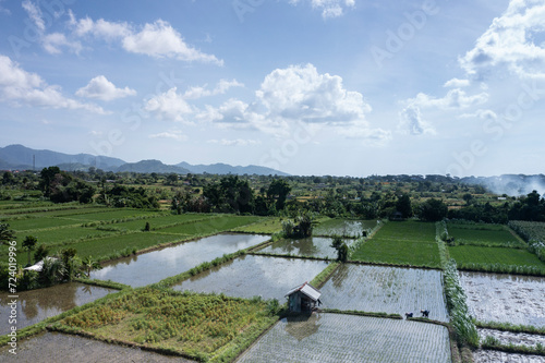 Aerial drone landscape of rice paddy fields located in the province of Karangasem in Eastern Bali Indonesia.