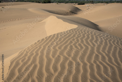 Fototapeta Naklejka Na Ścianę i Meble -  sand dunes in the desert
