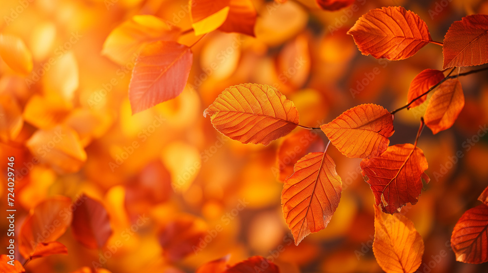 autumn leaves background, Ai generated image
