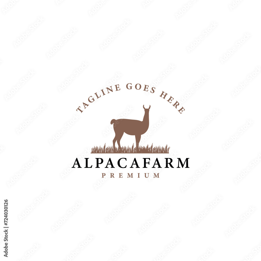 Alpaca farm logo template on grass field Alpaca farm logo template on grass field