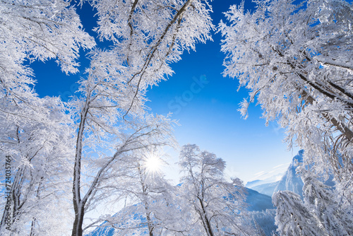 Winter Sky