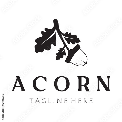 Simple Acorn logo design with leaves,oak leaves logo,isolated with vector illustration editing